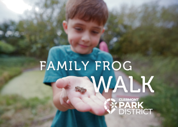 Child holds out hand holding a tiny frog, white lettering above reads Family Frog Walk